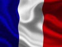 FRENCH FLAG